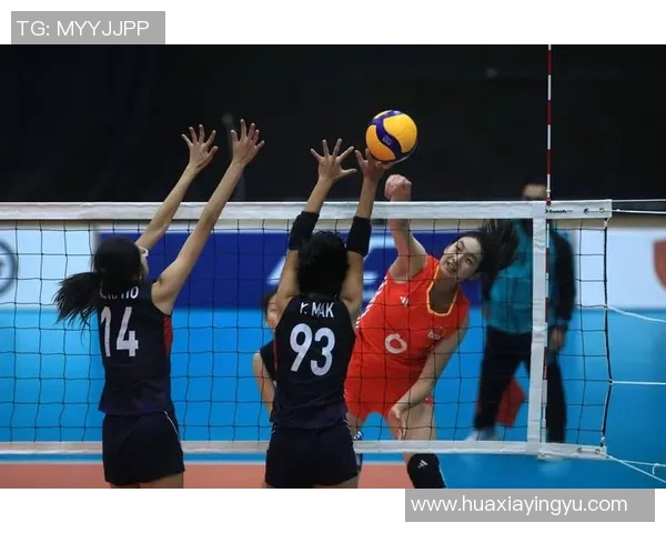 排球深度:解密武汉排球队的运营 排球深度:解密武汉排球队的运营