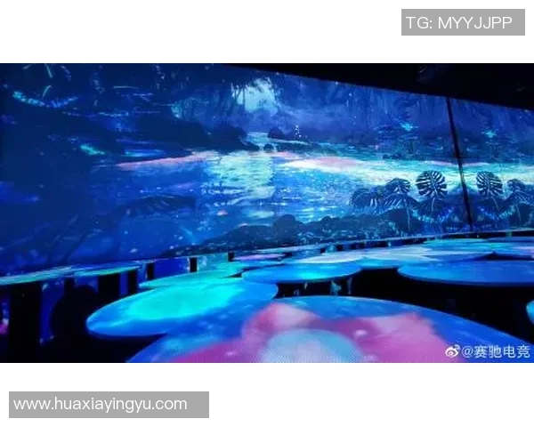 职业联赛特别报道：V5的奋斗经历